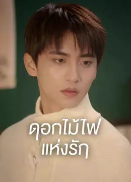 ดอกไม้ไฟแห่งรัก