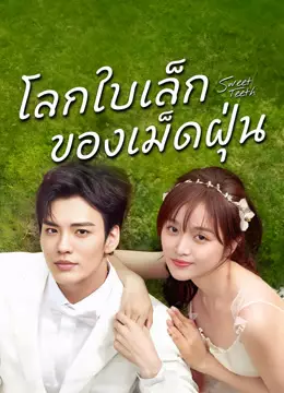 โลกใบเล็กของเม็ดฝุ่น