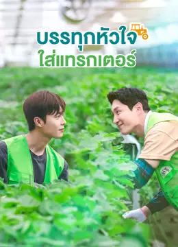 บรรทุกหัวใจใส่แทรกเตอร์